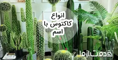 عکس انواع کاکتوس با اسم